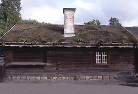 スウェーデンの店舗。珍しい草屋根