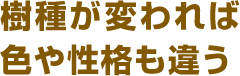 樹種が変われば色や性格も違う