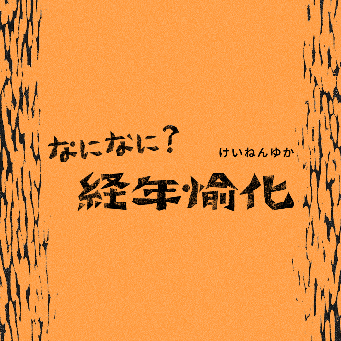 なになに？経年愉化