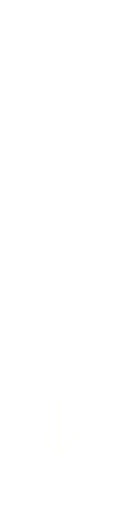 「まぬけ」の家？